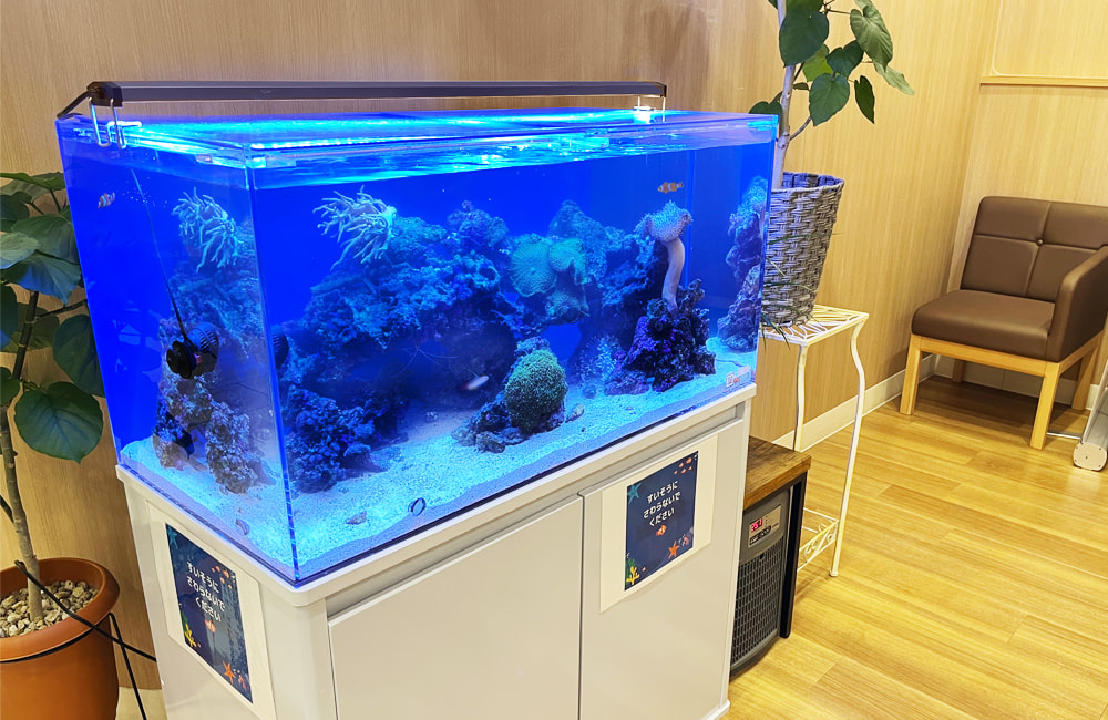 綾瀬市 クリニックに設置 90cm海水魚水槽レンタル｜神奈川アクアガーデン