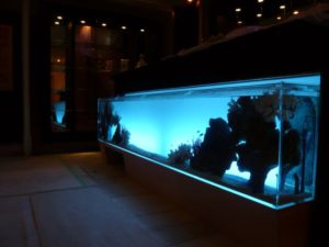 新宿区　飲食店 様