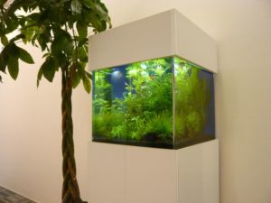 渋谷区　企業様