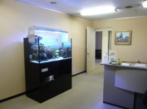 中央区　企業様