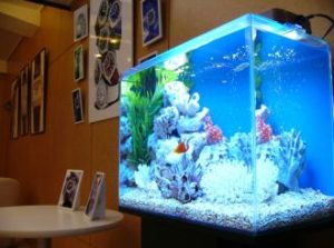 時計新作発表会