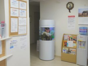 都内　病院　つつじ皮膚科　様