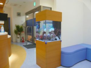 横浜市　病院様　コンパクト水槽をひと工夫　