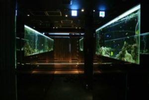 大阪府　中央区　飲食店様