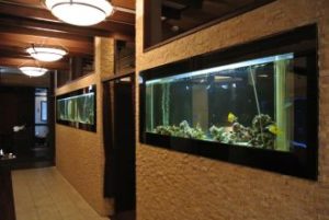 大阪府　中央区　飲食店様