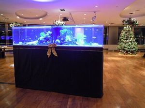 六本木　クラブ様　クリスマスイベント