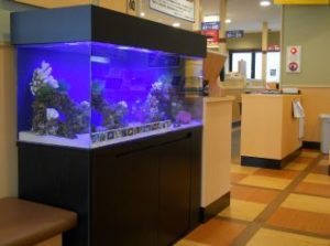 江戸川区　飲食店様