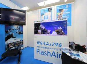 サンシャインイベント