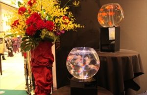 短期イベント　金魚水槽