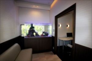 皮膚科様　大型海水魚水槽！