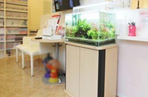 横浜市　歯科クリニック様の60cm水槽淡水魚水槽！水槽メンテナンス事例