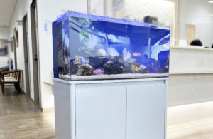 横浜市　メンタルクリニック様のマリンアクアリウム！90cm海水魚水槽レンタル事例